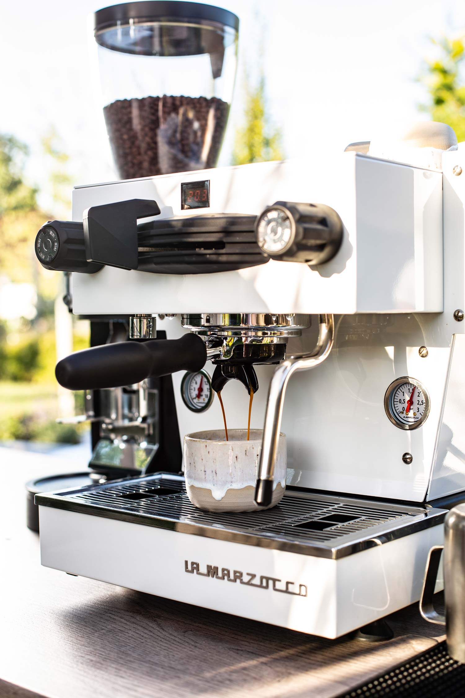 Coffee
